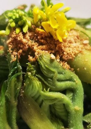 お年寄り絶賛シリーズ☆たらの芽ゴマ和え☆-レシピのメイン写真