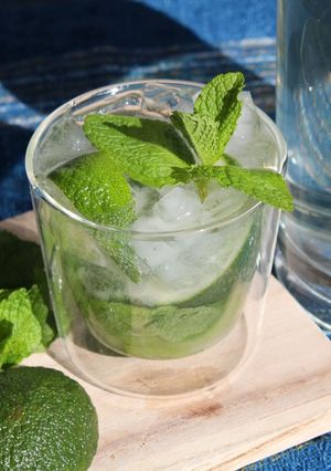 クラフトラム酒で爽快ココナッツモヒート-レシピのメイン写真