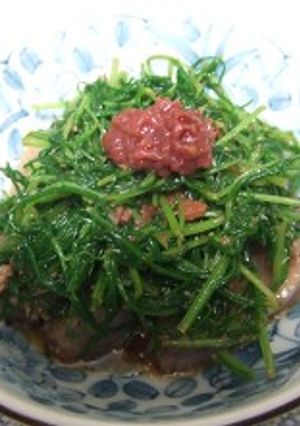 かつおとおかひじきの酢醤油梅肉和え-レシピのメイン写真