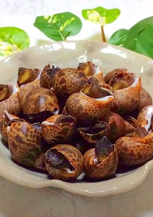 ばい貝の旨煮-レシピのメイン写真