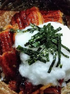 うなとろ丼-レシピのメイン写真