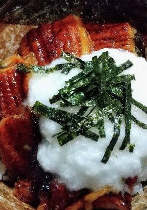 うなとろ丼-レシピのメイン写真