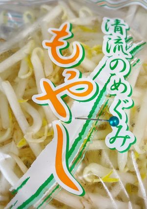 もやしの保存は　プチっとチルト室で！-レシピのメイン写真