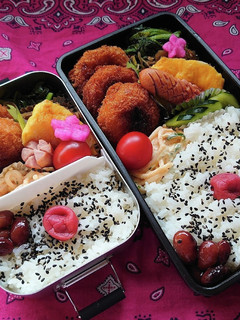 ❜21/4 28 グラタンコロッケ弁当-レシピのメイン写真