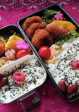 ❜21/4 28　グラタンコロッケ弁当-レシピのメイン写真