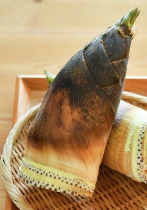 簡単で美味しいタケノコの茹で方-レシピのメイン写真