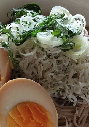 しらす蕎麦-レシピのメイン写真