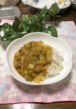 簡単♡白菜とひき肉のカレー-レシピのメイン写真