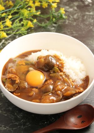 簡単！中華風☆茄子カレー-レシピのメイン写真