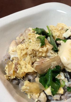 豆腐の卵とじ丼-レシピのメイン写真