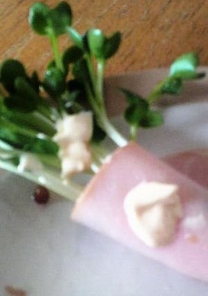 お弁当にぴったり!!簡単ハム巻き-レシピのメイン写真
