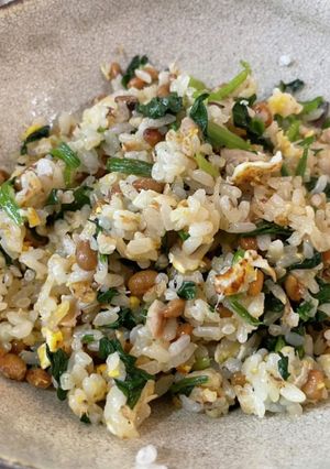 ホウレン草とサバ缶の和え物と納豆炒飯-レシピのメイン写真