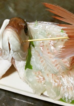 鯛の活造り-レシピのメイン写真