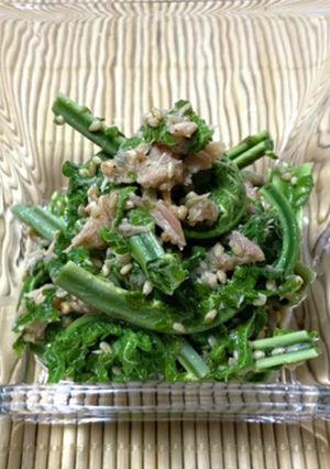 こごみのシーチキン＆白ゴマ＆味ぽん和え-レシピのメイン写真