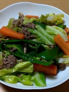 ひき肉の野菜炒め-レシピのメイン写真