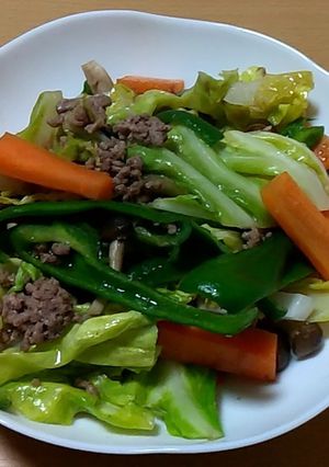 ひき肉の野菜炒め-レシピのメイン写真