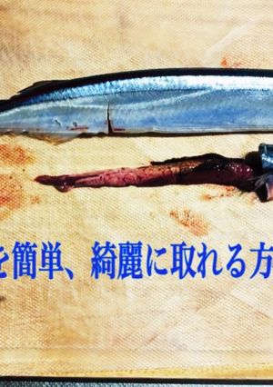 魚の内臓を簡単綺麗に取れるやり方-レシピのメイン写真
