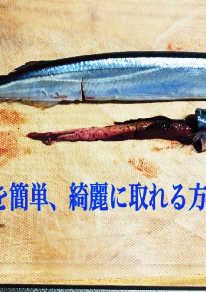 魚の内臓を簡単綺麗に取れるやり方-レシピのメイン写真