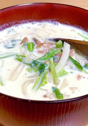夜食にいかが？残り物ですぐ豆乳うどん-レシピのメイン写真