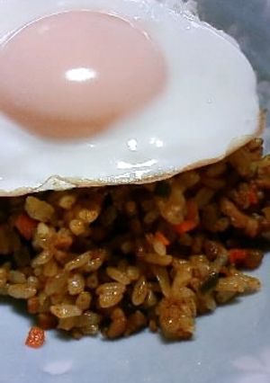 杏なドライカレー-レシピのメイン写真