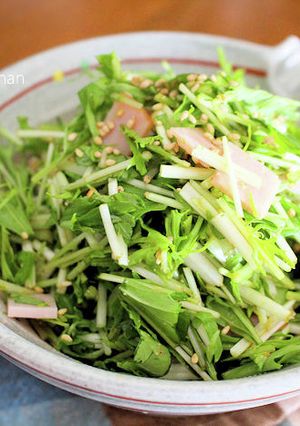 素材一品だけおかず、水菜のゴマ酢サラダ-レシピのメイン写真