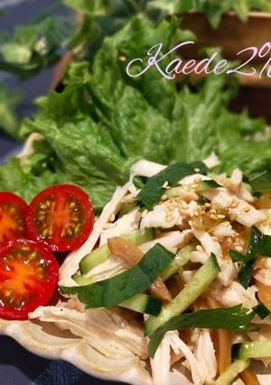 レンジde蒸し鶏とザーサイ青紫蘇サラダ-レシピのメイン写真