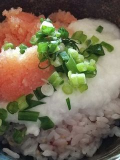 明太とろろご飯-レシピのメイン写真