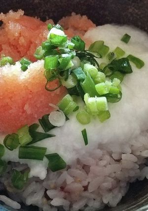 明太とろろご飯-レシピのメイン写真