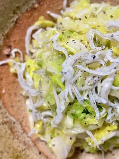 春キャベツと釜揚げしらすのサラダ-レシピのメイン写真