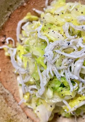 春キャベツと釜揚げしらすのサラダ-レシピのメイン写真