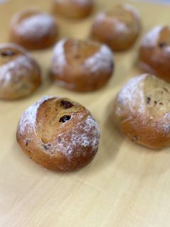 レーズンの丸パン(HB使用)-レシピのメイン写真
