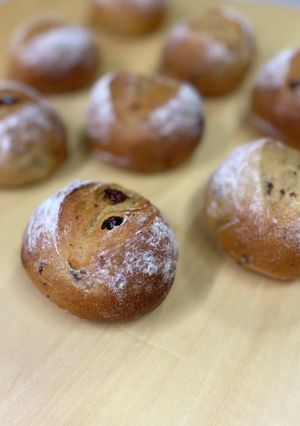 レーズンの丸パン(HB使用)-レシピのメイン写真