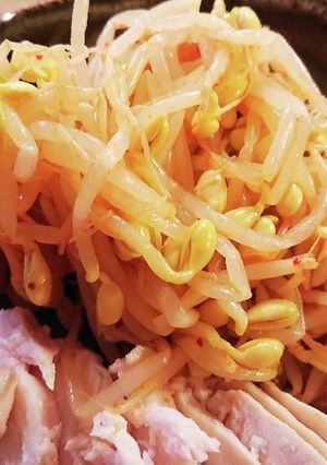 豆もやしのナムル-レシピのメイン写真