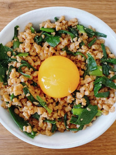 大豆ミートとニラのスタミナ丼-レシピのメイン写真