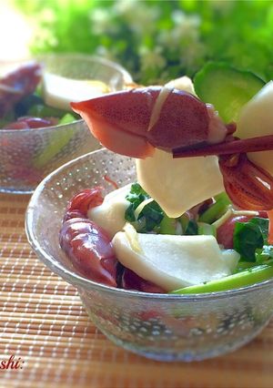 浅漬けの素で！ホタルイカと野菜の浅漬け-レシピのメイン写真