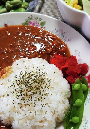 鉄腕!DASH 隠し味でキーマカレー☆-レシピのメイン写真