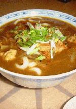 大好きカレーうどん-レシピのメイン写真