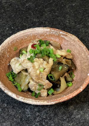 ナスと豚肉のピリ辛生姜焼き-レシピのメイン写真