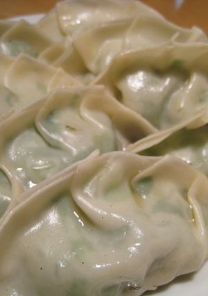 ヘルシーねぎOnly餃子-レシピのメイン写真