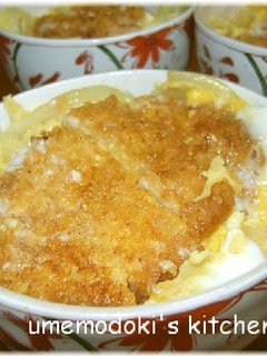 まとめて作る、カツ丼です!-レシピのメイン写真