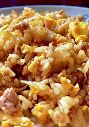 シラスとひき肉の炒飯~余り物レシピ~-レシピのメイン写真