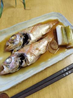 のどぐろ の 煮つけ-レシピのメイン写真