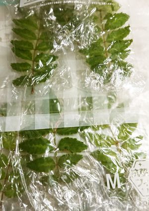 木の芽の冷凍保存-レシピのメイン写真