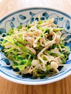 豆苗とエノキの胡麻和え-レシピのメイン写真