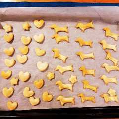 犬用さつま芋クッキー-レシピのメイン写真
