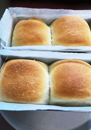 手ごねミニ食パン-レシピのメイン写真