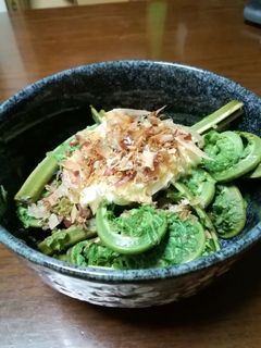 こごみの醤油マヨネーズ和え-レシピのメイン写真