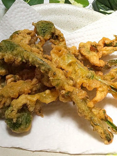 こごみのだし醤油天ぷら-レシピのメイン写真
