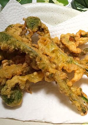 こごみのだし醤油天ぷら-レシピのメイン写真