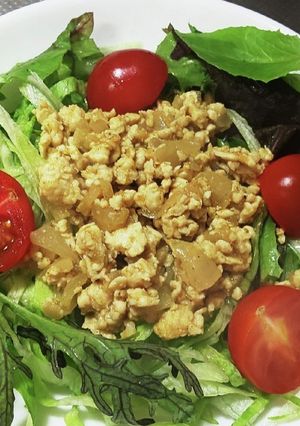 カレー味のひき肉サラダ♡野菜もりもり！-レシピのメイン写真